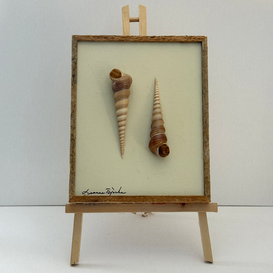 Vintage Framed Seashell Wall Art Signed Coastal Beach Decor 10x12